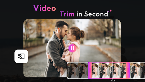 AI Video Background Remove پی سی
