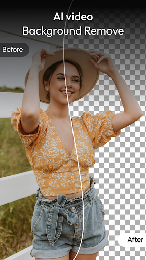 AI Video Background Remove پی سی