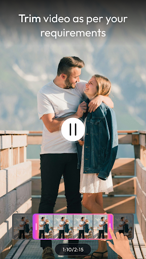 AI Video Background Remove پی سی