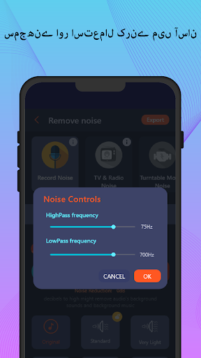 Remove noise: Reduce noise mp3 پی سی