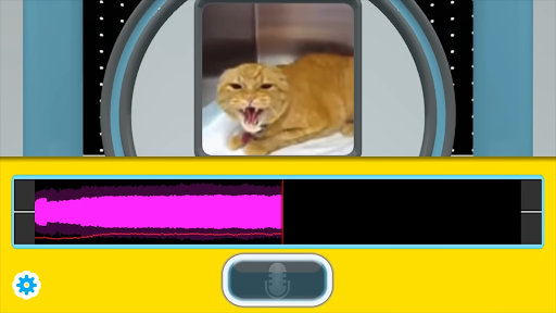 The Choicer Voicer PC