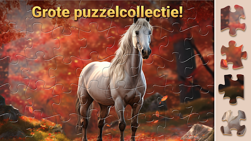 Magische Legpuzzels - Puzzel PC