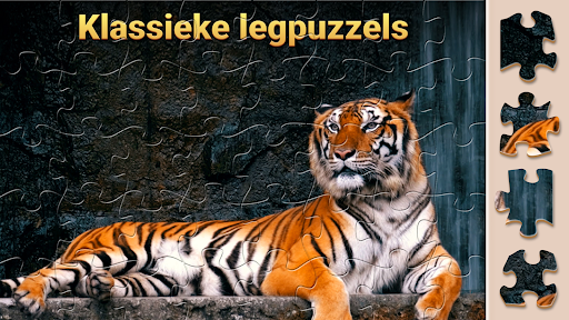 Magische Legpuzzels - Puzzel PC