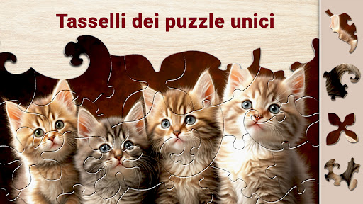 Puzzle Magici - Di rompicapo PC