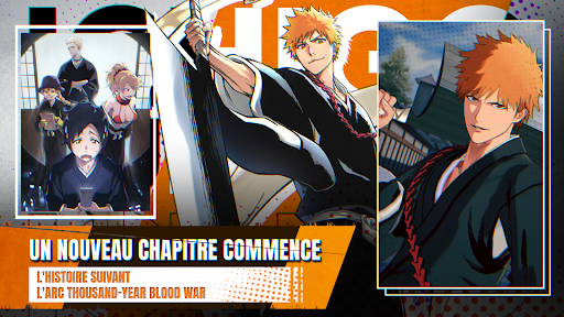 BLEACH Mirrors High PC