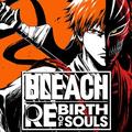 BLEACH Rebirth of Souls ???????