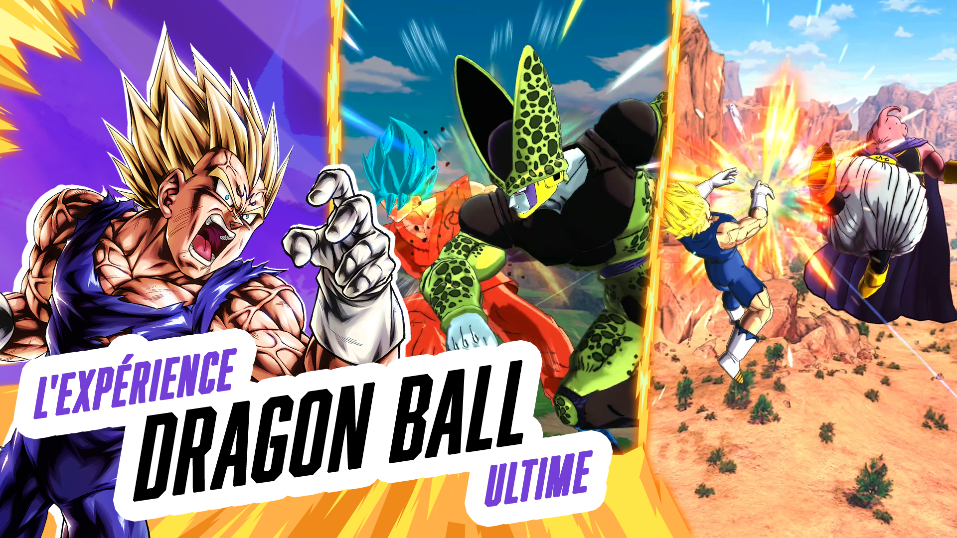 DRAGON BALL LEGENDS PC