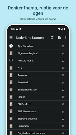 Nederland Kranten PC