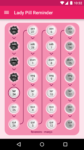 Lady Pill Reminder para PC