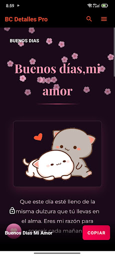 BC Detalles Pro PC