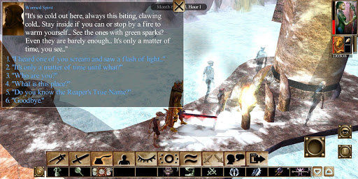 Neverwinter Nights: Enhanced ПК