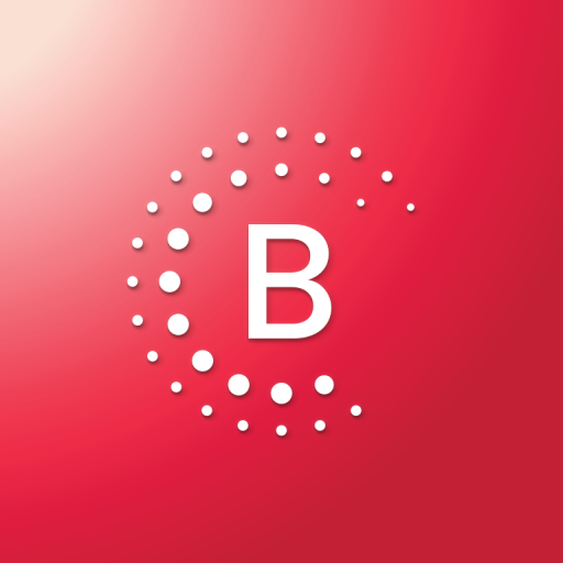 Bernafon App PC