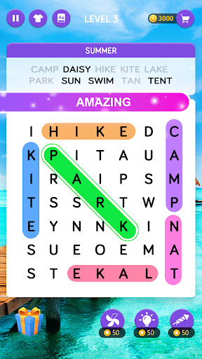 Word Search پی سی