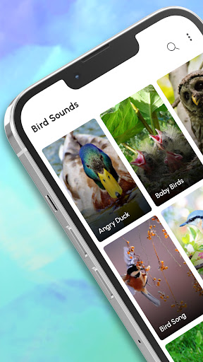 Bird Calls, Sounds & Ringtones پی سی