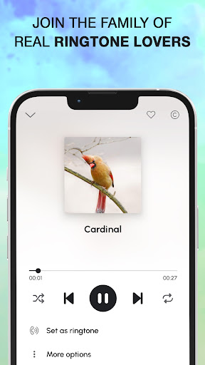 Bird Calls, Sounds & Ringtones پی سی