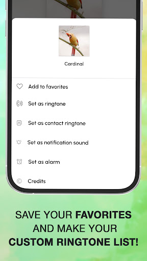 Bird Calls, Sounds & Ringtones پی سی