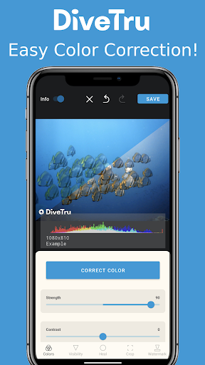 DiveTru Video Color Correction