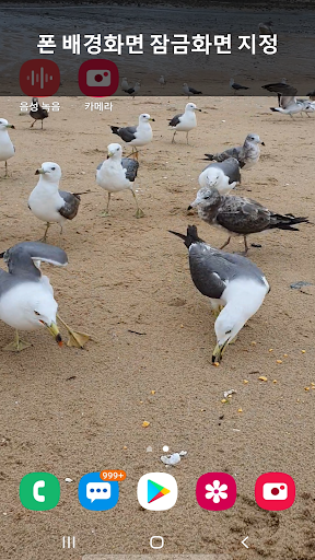 비디오크롭 비디오트림 비디오컷팅 (Video Crop PC