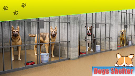 gra schronisko dla zwierząt PC