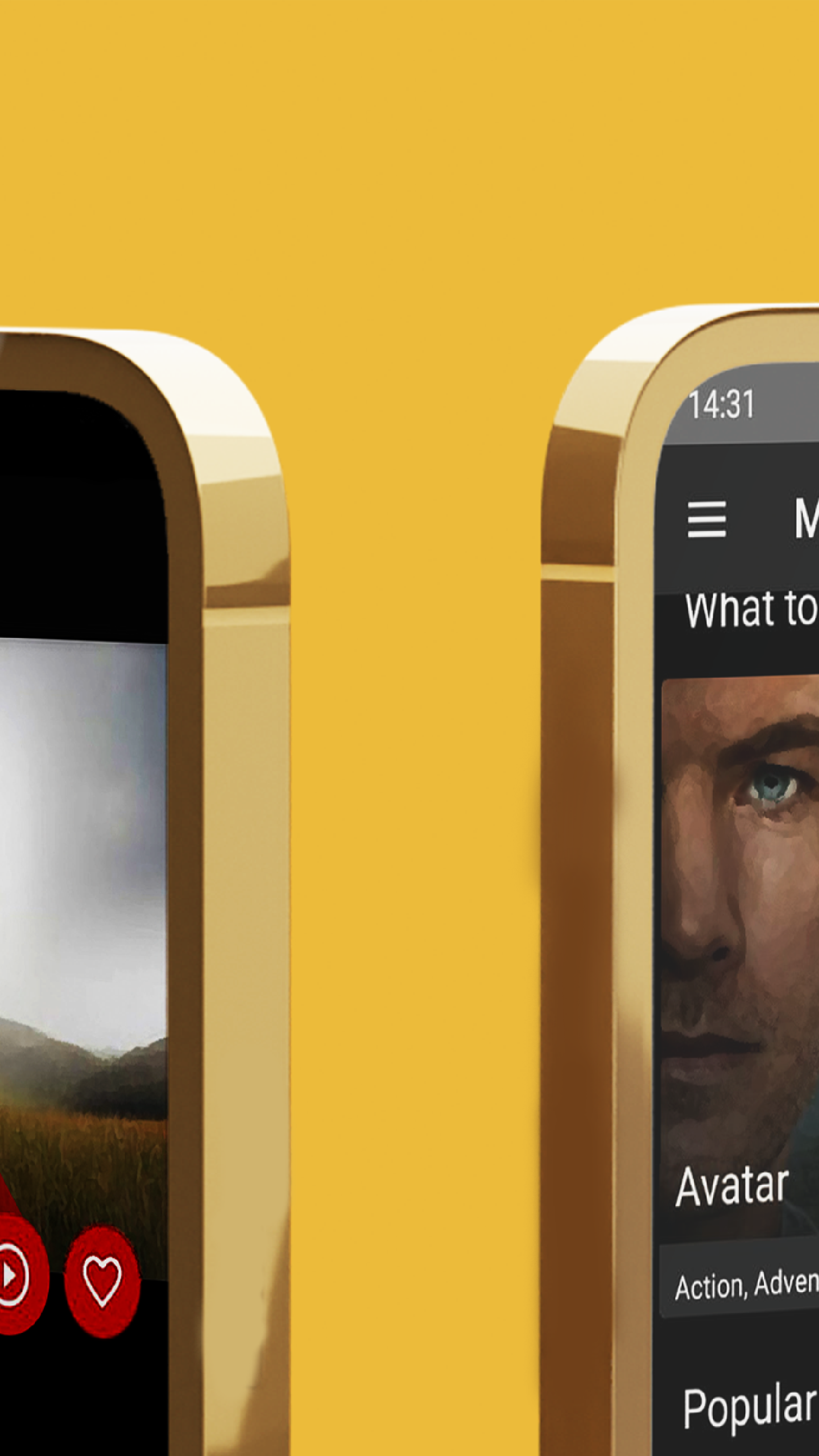 Bflix: The Secret To Free HD Movie Nights