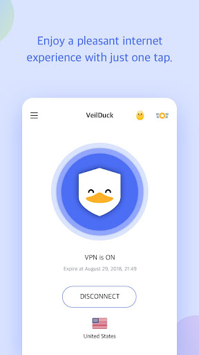 Veilduck VPN