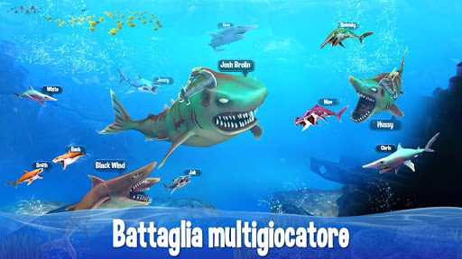 Squalo doppia testa pvp