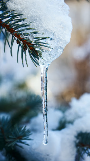 Icicle Wallpaper پی سی