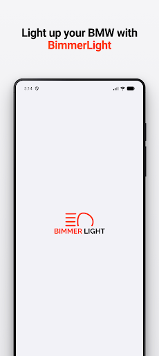 komputer BimmerLight for BMW, MINI & RR