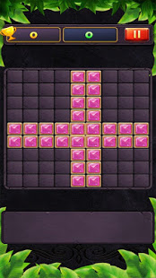 block puzzle star PC