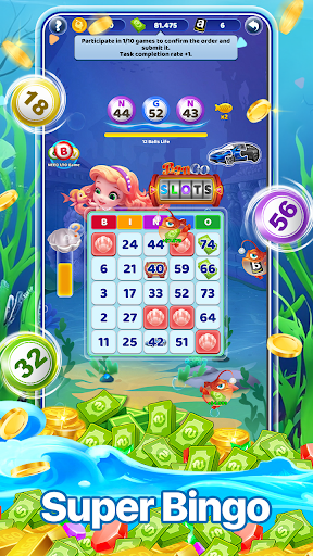 Bingo Mermaid  Winner电脑版