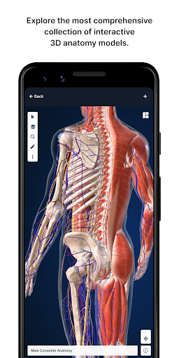 BioDigital Human - 3D Anatomy الحاسوب