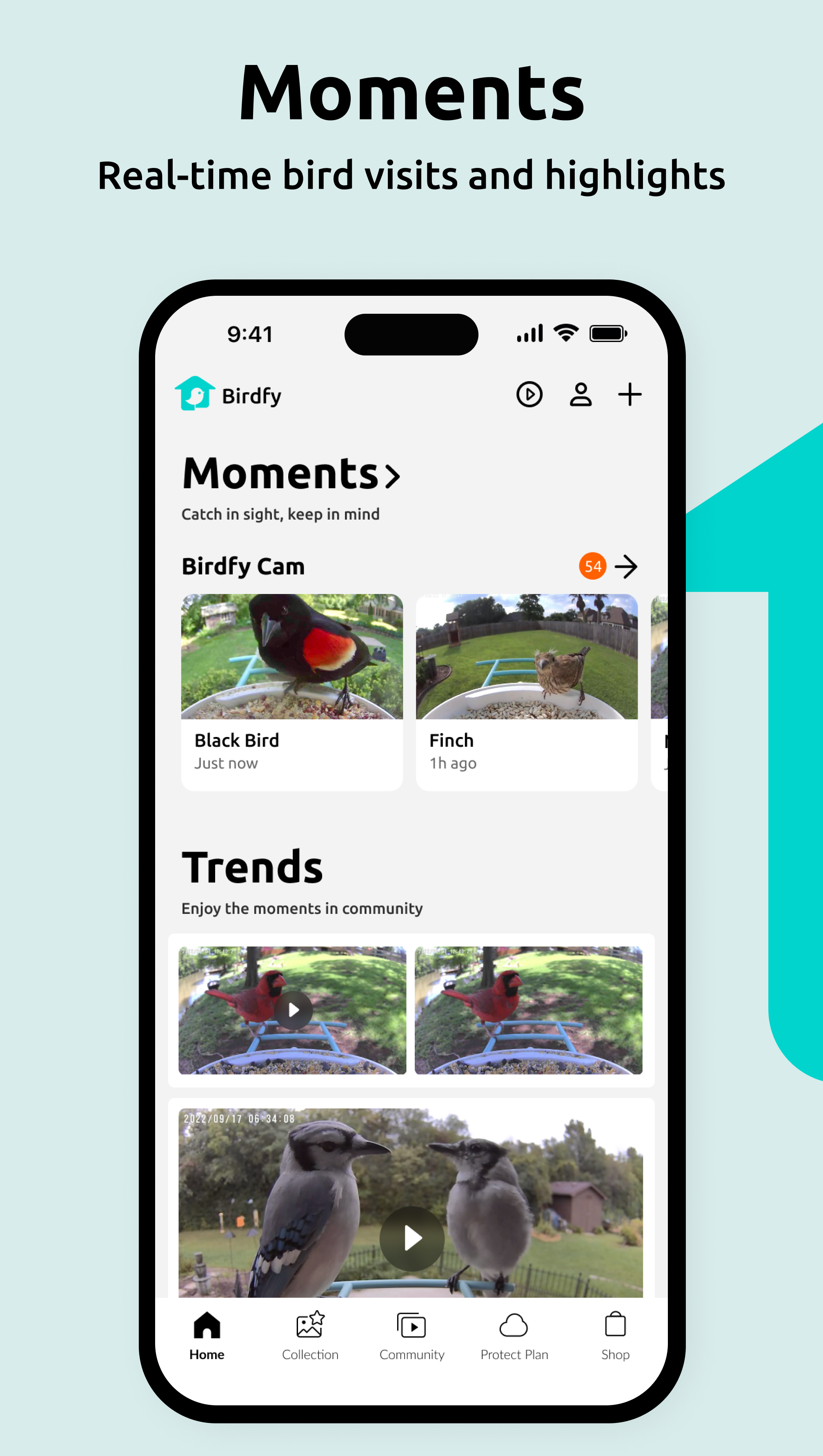 Download birdfy on pc with memu
