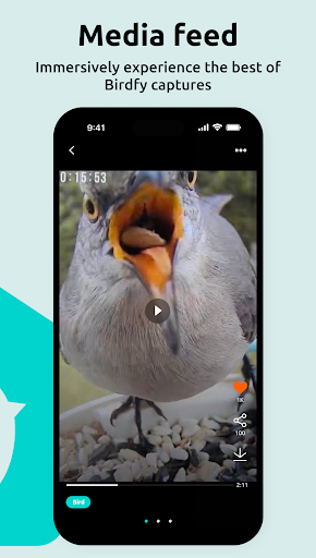 Birdfy PC