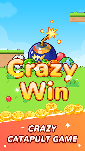 Crazy Win PC