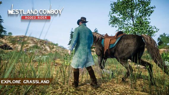 Cowboy Rodeo Rider- Wild West PC