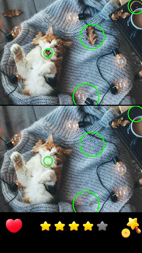Difference game, spot them all