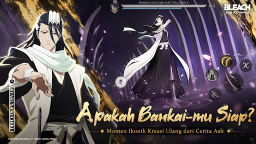 BLEACH: Soul Resonance