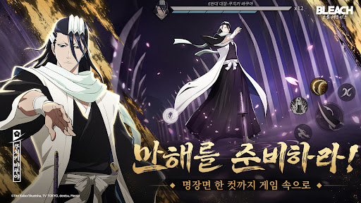 블리치: 소울 레조넌스