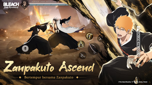BLEACH: Soul Resonance