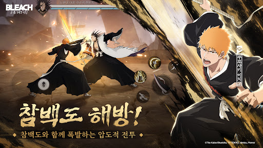 블리치: 소울 레조넌스