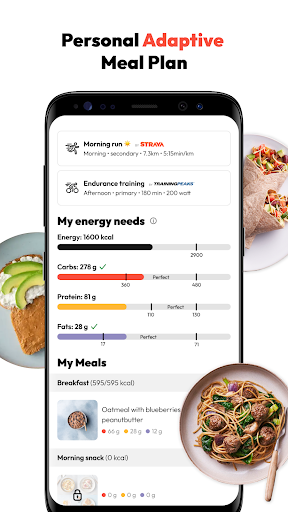 The Athlete's FoodCoach PC