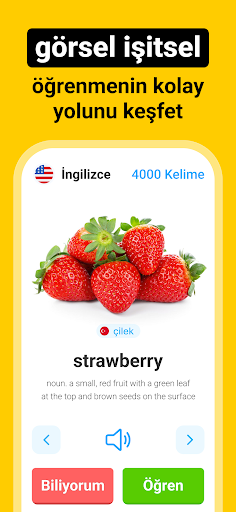 Blarma - Kelime Öğrenme PC