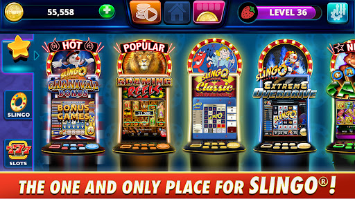 Slingo Arcade - Bingo & Slots PC