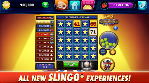 Slingo Arcade - Bingo & Slots