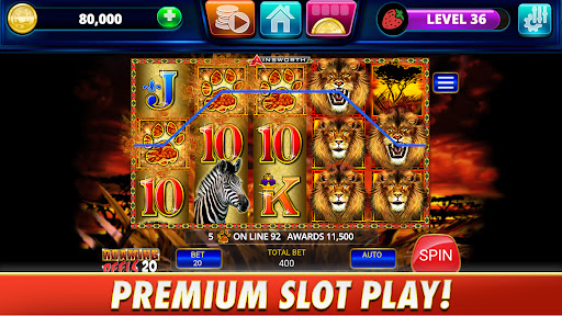 Slingo Arcade - Bingo & Slots PC