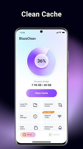 BlazeClean پی سی