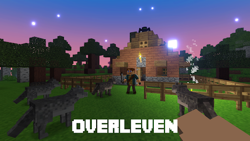 Block World 3D: Ambacht & Bouw