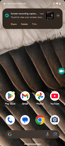 ADV Screen Recorder PC