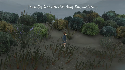 Storm Boy পিসি