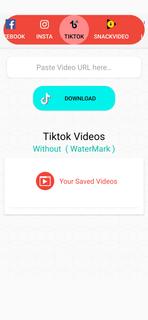 BulletSaver | video Downloader PC